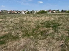 (Українська) У Малих Підлісках та Львові 16 червня продадуть земельні ділянки на аукціоні У Малих Підлісках та Львові 16 червня продадуть земельні ділянки на аукціоні