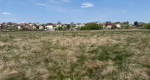 У Малих Підлісках та Львові 16 червня продадуть земельні ділянки на аукціоні