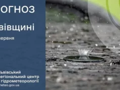 Прогноз погоди на 11 червня для Львова та області