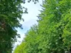 (Українська) У Новому Роздолі зустріли кортеж із тілом воїна Ростислава Юрчишина У Новому Роздолі зустріли кортеж із тілом воїна Ростислава Юрчишина