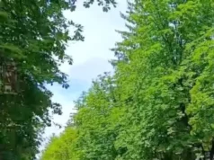 У Новому Роздолі зустріли кортеж із тілом воїна Ростислава Юрчишина