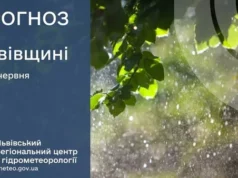 На Львівщині очікують короткочасні дощі та грози На Львівщині очікують короткочасні дощі та грози