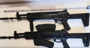 На Львівщині мешканці продовжують декларувати незареєстровану зброю