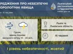 На Львівщині 16 червня очікують грози та сильний вітер На Львівщині 16 червня очікують грози та сильний вітер