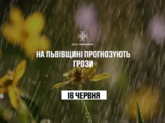 16 червня на Львівщині прогнозують грози та сильний вітер