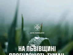 На Львівщині 3 червня очікують туман і грози