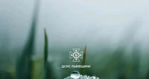На Львівщині 3 червня очікують туман і грози