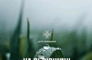 На Львівщині 3 червня очікують туман і грози На Львівщині 3 червня очікують туман і грози
