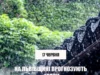 На Львівщині 17 червня очікують грози першого рівня небезпечності