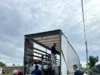 У дитсадку «Соняшник» Великомостівської громади встановлять сучасні накопичувачі енергії