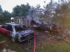 У селі Кротошин Львівського району загорілися вулик та автомобіль