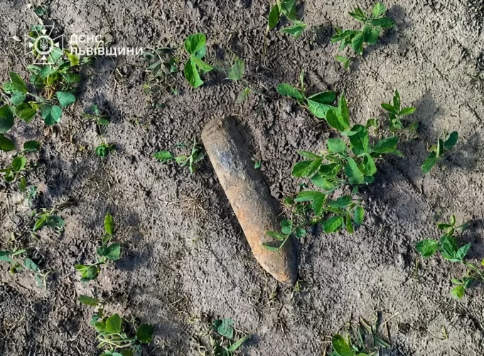 У Золочівському районі знищили два артснаряди часів Другої світової війни
