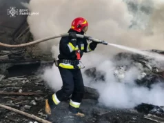 На Львівщині за добу ліквідували 18 пожеж, з них шість в екосистемах На Львівщині за добу ліквідували 18 пожеж, з них шість в екосистемах