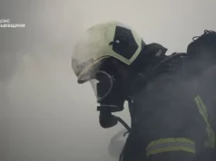 На Львівщині за добу ліквідували 28 пожеж, з них 15 в екосистемах