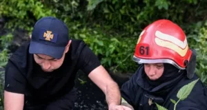 У Винниках рятувальники підняли собаку з триметрової канави з водою