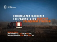 (Українська) На Львівщині за добу загасили 15 пожеж сухої рослинності На Львівщині за добу загасили 15 пожеж сухої рослинності