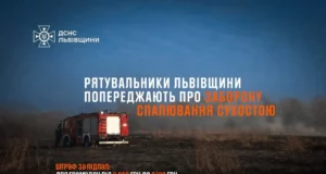 На Львівщині за добу загасили 15 пожеж сухої рослинності