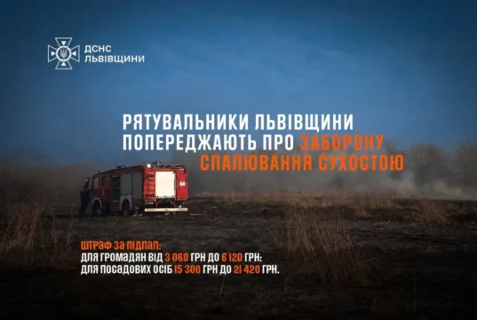 На Львівщині за добу загасили 15 пожеж сухої рослинності