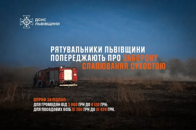 На Львівщині за добу загасили 15 пожеж сухої рослинності