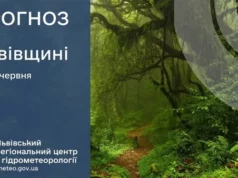 03 червня на Львівщині погоду формуватимуть фронти з південного заходу 03 червня на Львівщині погоду формуватимуть фронти з південного заходу