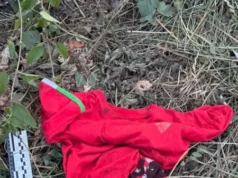 У Ходорові біля вокзалу пограбували чоловіка з інвалідністю, поліція розслідує справу У Ходорові біля вокзалу пограбували чоловіка з інвалідністю, поліція розслідує справу
