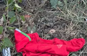У Ходорові біля вокзалу пограбували чоловіка з інвалідністю, поліція розслідує справу