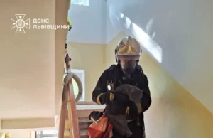 У Львові рятувальники вивели людей з задимленої квартири та врятували тварину