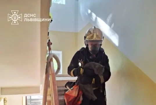 У Львові рятувальники вивели людей з задимленої квартири та врятували тварину