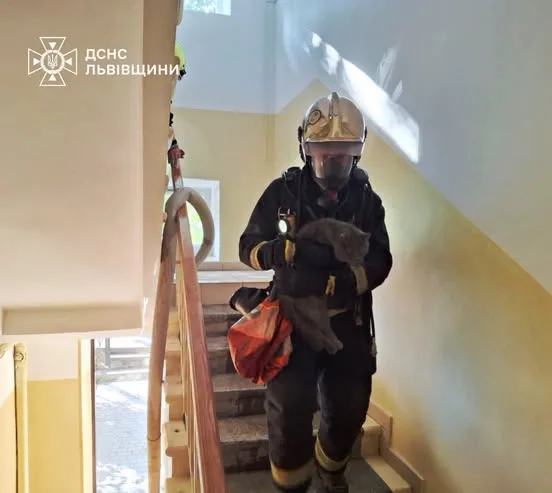 image У Львові рятувальники вивели людей з задимленої квартири та врятували тварину