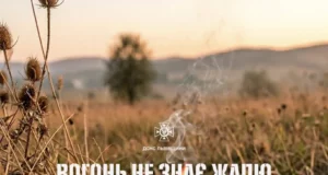 На Львівщині за добу загасили 11 пожеж сухої трави