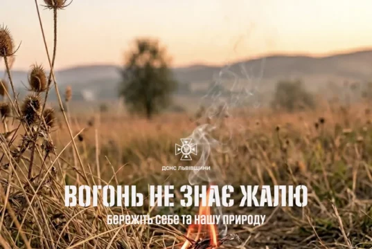 На Львівщині за добу загасили 11 пожеж сухої трави