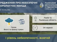 На Львівщині попередили про туман уночі та вранці 4 червня
