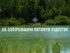 На Львівщині в озері Золочівського району потонув підліток