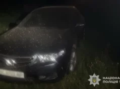 На Львівщині встановили водія, причетного до смертельної ДТП з пішоходом