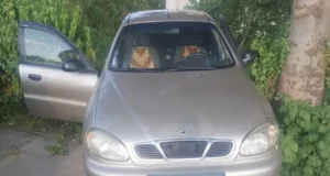 У Стебнику затримали підозрюваного в незаконному заволодінні Daewoo Lanos