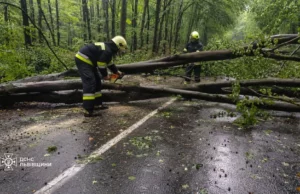 На Львівщині рятувальники прибирають повалені через негоду дерева