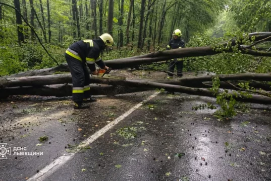 На Львівщині рятувальники прибирають повалені через негоду дерева