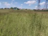 У Львові судитимуть держреєстраторку, через дії якої громада втратила землю на 22 млн грн
