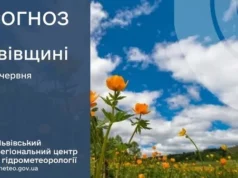Прогноз погоди на 5 червня для Львівщини та Львова