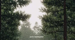 05 червня на Львівщині очікують туман, грози, шквали та град