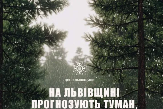 05 червня на Львівщині очікують туман, грози, шквали та град