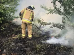 На Львівщині за добу загасили 14 пожеж в екосистемах На Львівщині за добу загасили 14 пожеж в екосистемах