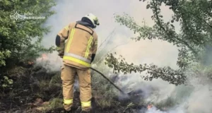 На Львівщині за добу загасили 14 пожеж в екосистемах