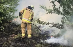 На Львівщині за добу загасили 14 пожеж в екосистемах На Львівщині за добу загасили 14 пожеж в екосистемах