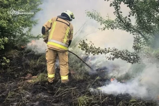 На Львівщині за добу загасили 14 пожеж в екосистемах