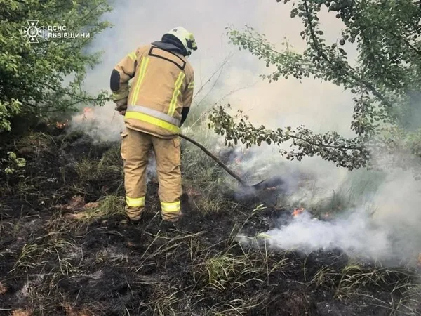 image На Львівщині за добу загасили 14 пожеж в екосистемах
