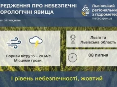 08 липня на Львівщині очікують сильний вітер і грози