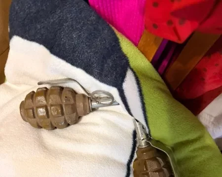 У Львові затримали чоловіка за незаконне зберігання гранат і набоїв