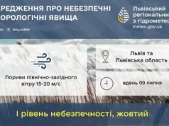 На 9 липня на Львівщині попереджають про сильний вітер