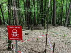 (Українська) На Золочівщині піротехніки знищили артснаряд часів Другої світової війни На Золочівщині піротехніки знищили артснаряд часів Другої світової війни